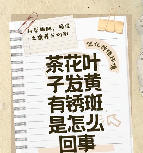 植物叶子发黄且有白霜是什么原因？