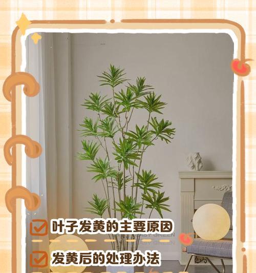 植物叶子发黄且有白霜是什么原因？