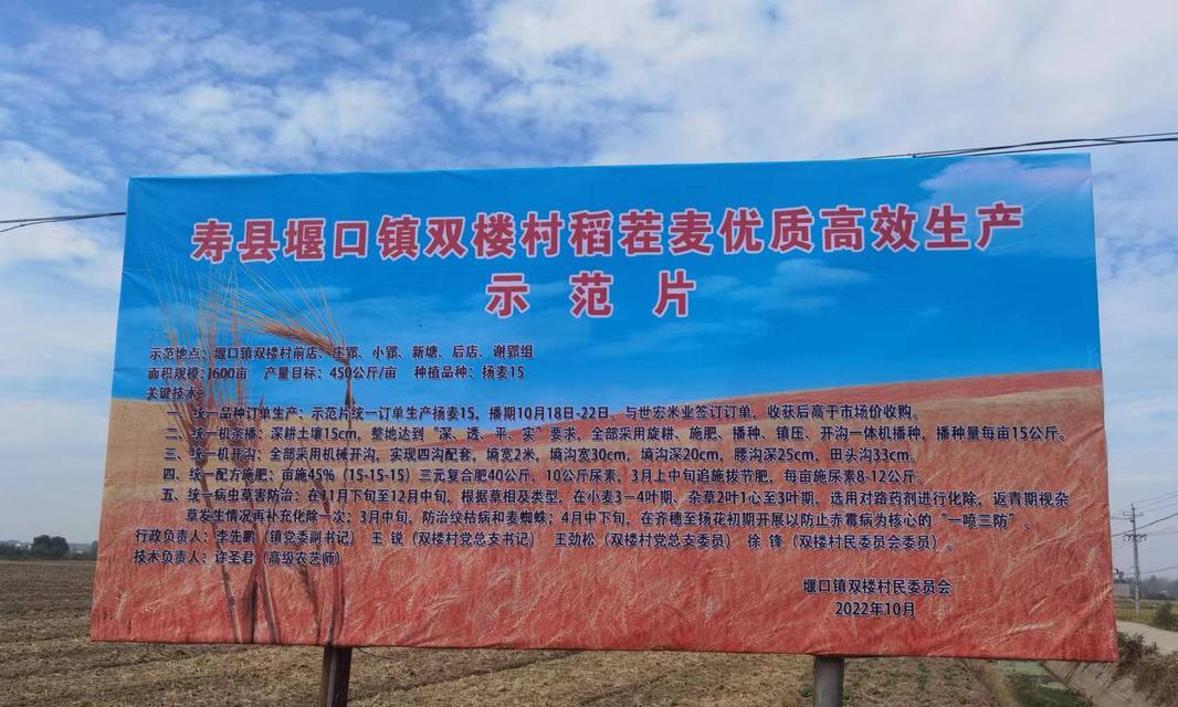 杨麦播种的合适时间是什么？