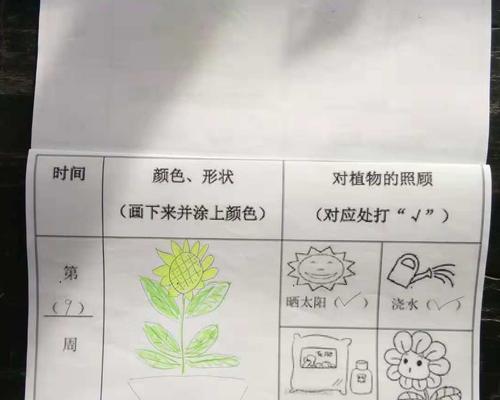 杨麦播种的合适时间是什么？