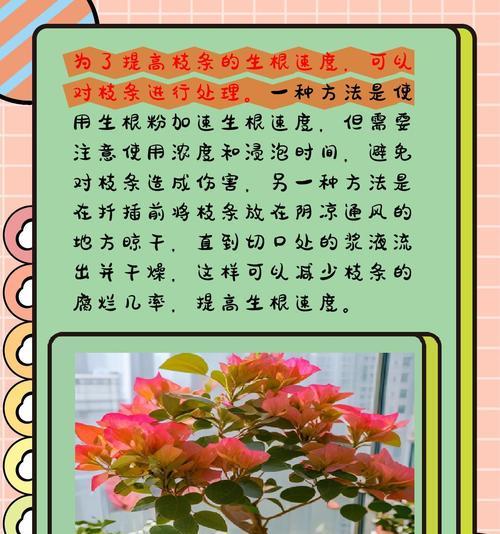 春天三角梅发芽期的浇水技巧是什么？
