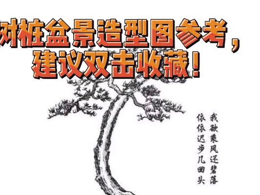 直杆弹弓叉盆景怎么造型？如何打造完美形态？