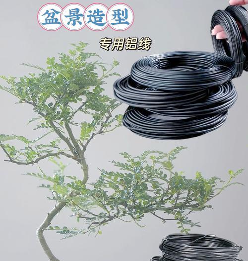 直杆弹弓叉盆景怎么造型？如何打造完美形态？
