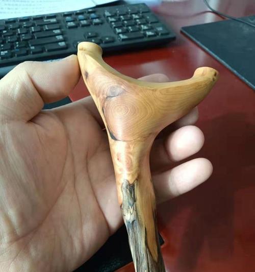 直杆弹弓叉盆景怎么造型？如何打造完美形态？