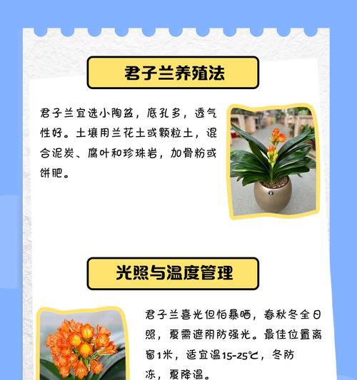 君子兰催苗的最佳方法是什么？