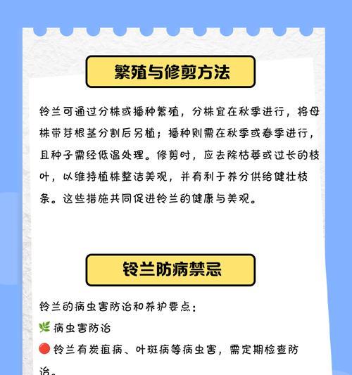 铃兰栽培技术有哪些注意事项？如何正确养护铃兰？