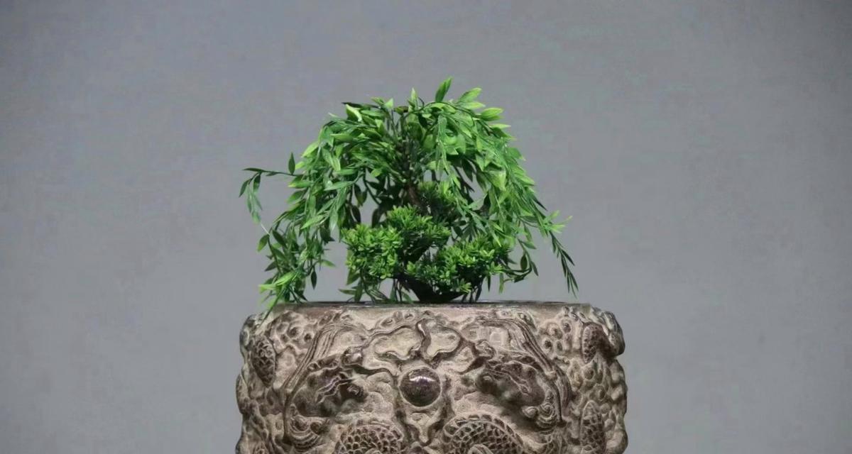 鱼盆盆景改造方法和步骤是什么？