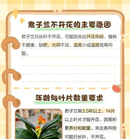君子兰长叶间芽的原因是什么？