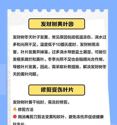 门铁叶子发黄了怎么救？有哪些有效方法？