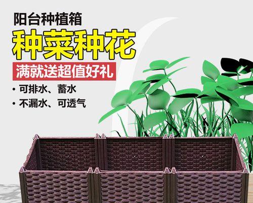 三角梅在海南话中是如何称呼的？