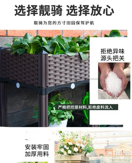三角梅在海南话中是如何称呼的？