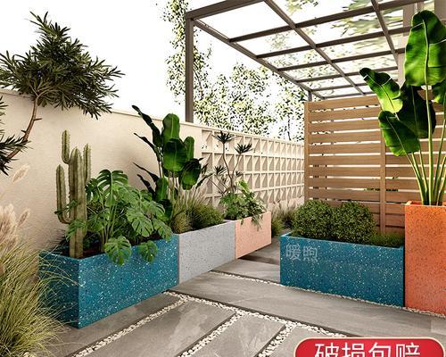 荷木栽培技术与生态习性解析？