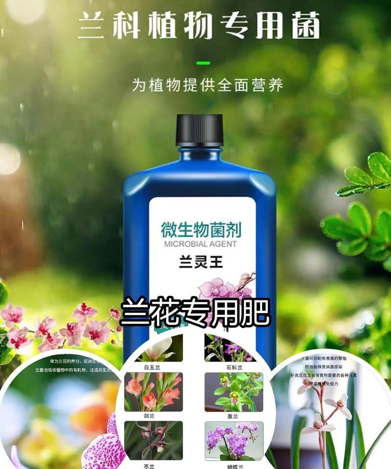 君子兰营养水的正确使用方法是什么？