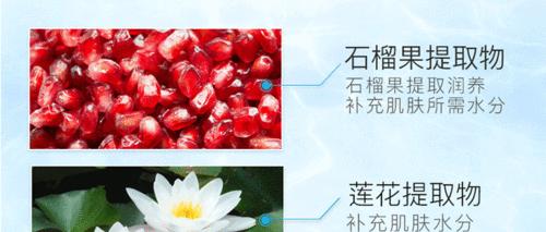 紫外线养花有哪些技巧？如何正确使用？