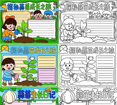 11月播种蒜苗不生长的原因是什么？