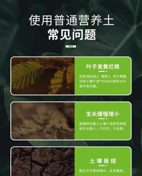 盆景换土时肥料应该如何处理？