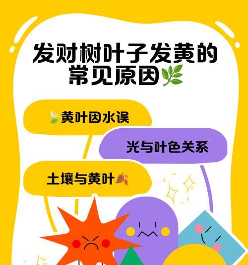 植物叶子发黄结网是什么原因？
