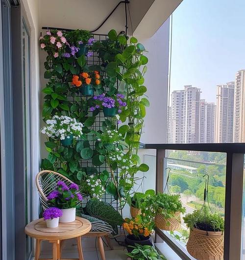 阳台上的花卉种类有哪些？