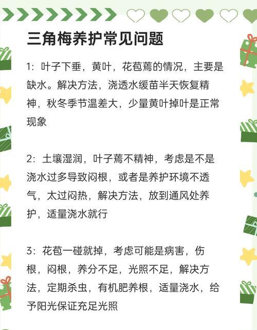 三角梅快速蔫萎的原因是什么？如何预防和处理？