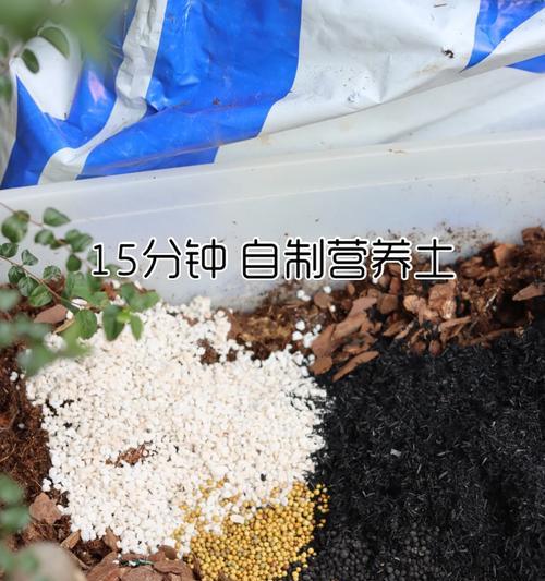 自制苹果炭肥料的步骤？效果如何？