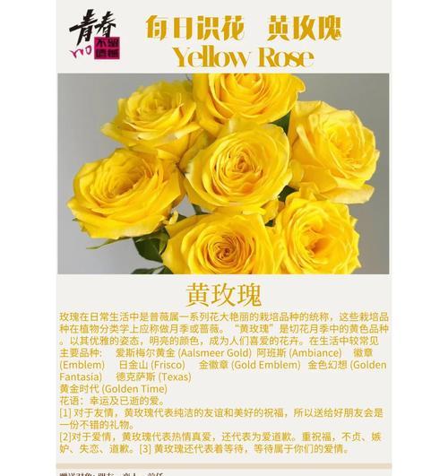 玫瑰叶子发黄落叶的原因是什么？