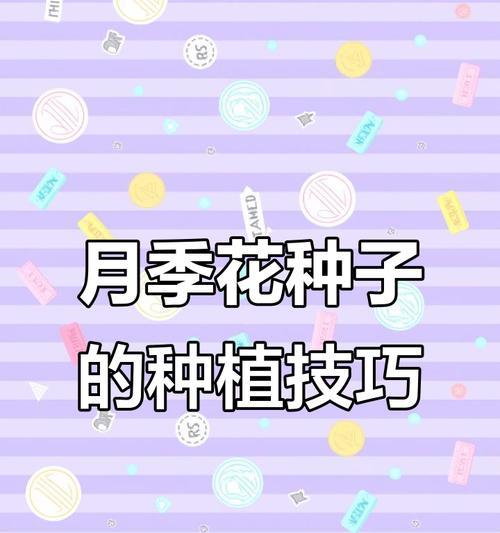 月季花种子的最佳采集方法是什么？