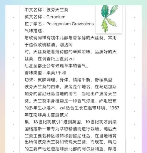 如何描述天竺葵的香气特点？
