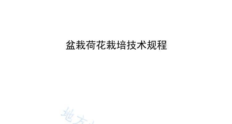 荷花鲜花盆景怎么养？有哪些养护技巧？