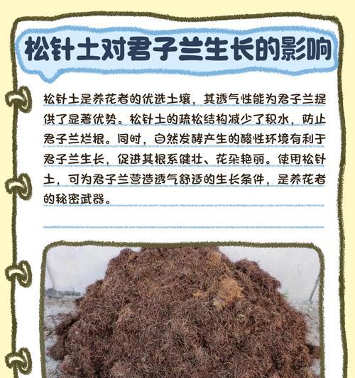 纯腐叶养君子兰应该怎样浇水？