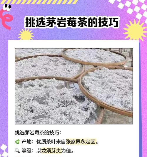 茅莓栽培技术要点是什么？