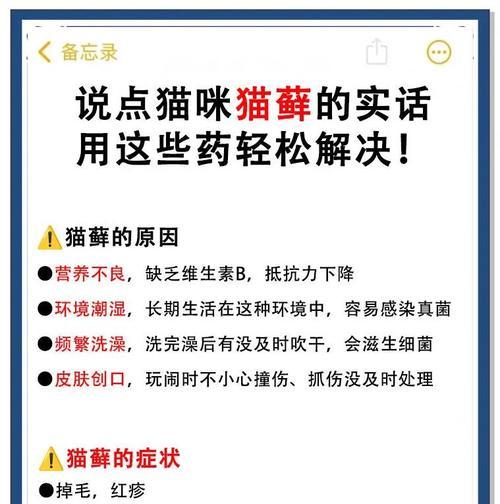 猫咪对天竺葵过敏怎么办？