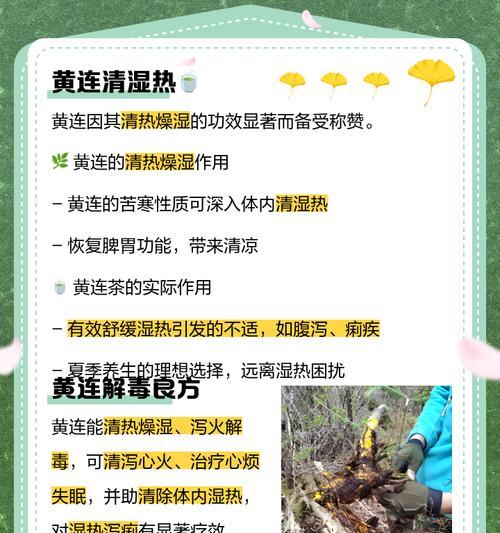 铁线莲焦叶黄叶的处理方法有哪些？