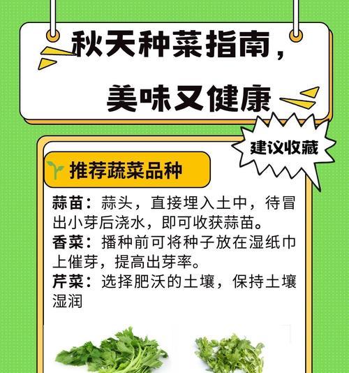秋季蔬菜播种的最佳时间是什么时候？如何确保秋季播种成功？