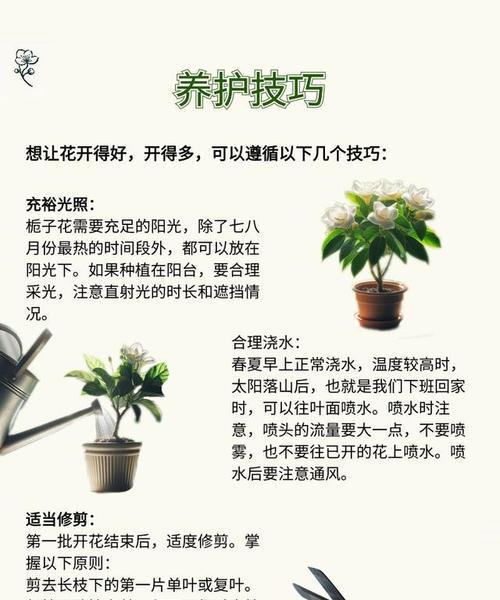 栀子花叶子发黄干叶的正确浇水方法？
