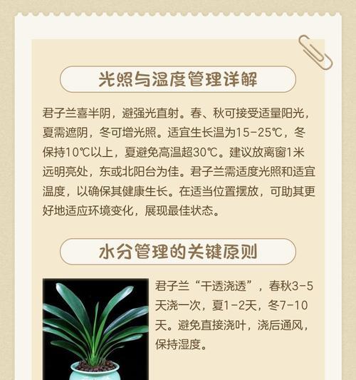 君子兰能熏蚊吗怎么养？君子兰的正确养护方法是什么？