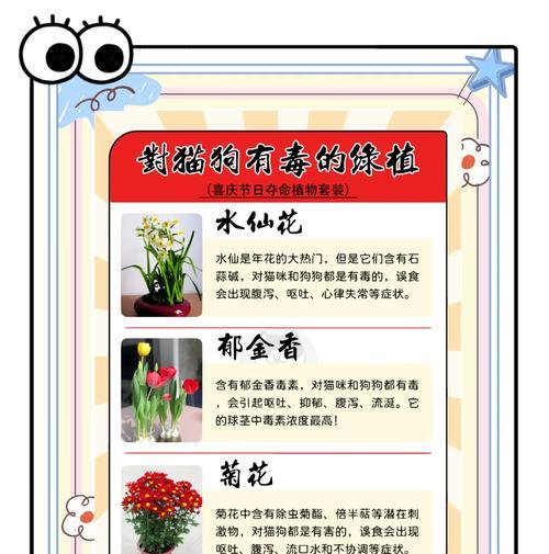 野生花卉有哪些品种？如何识别和养护？