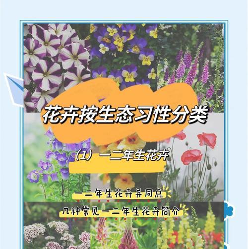 野生花卉有哪些品种？如何识别和养护？