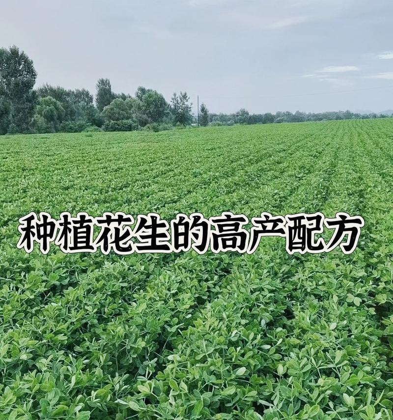 花生播种通常采用什么方法？
