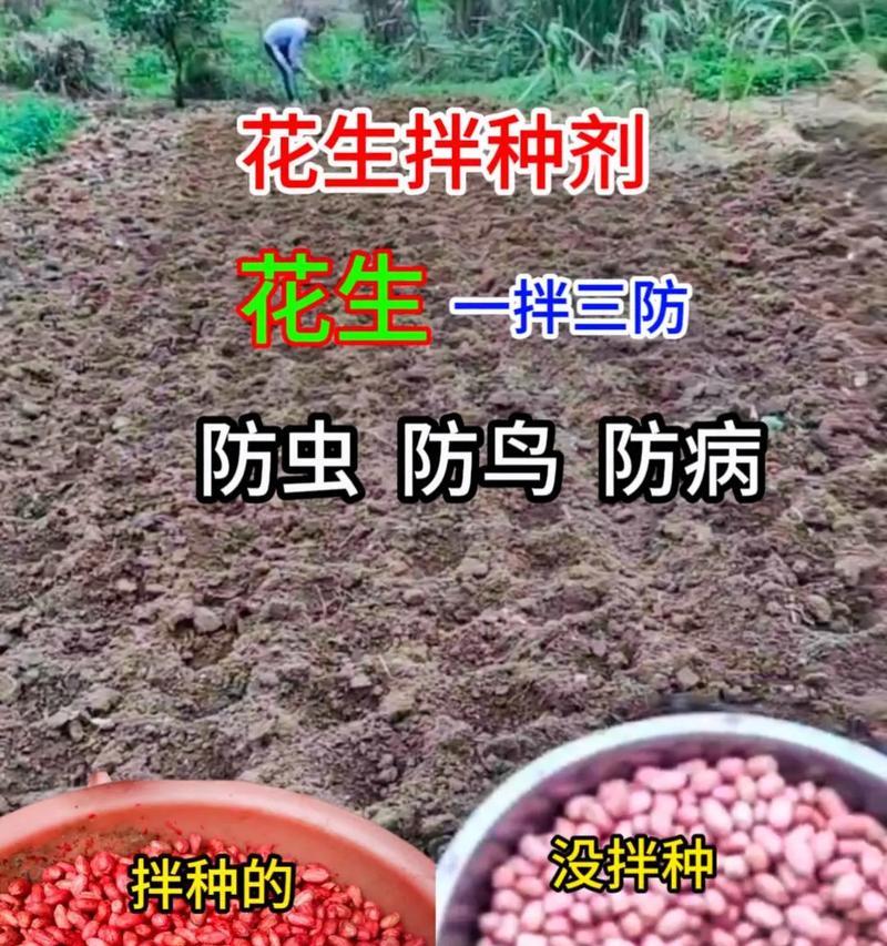 花生播种通常采用什么方法？