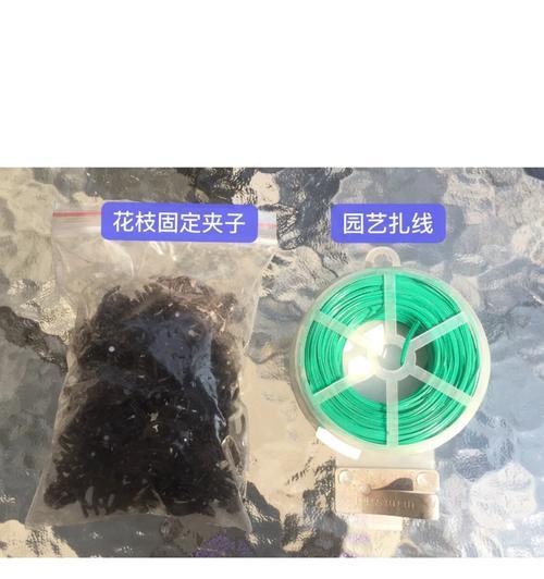 月季专用夹子的正确使用方法是什么？