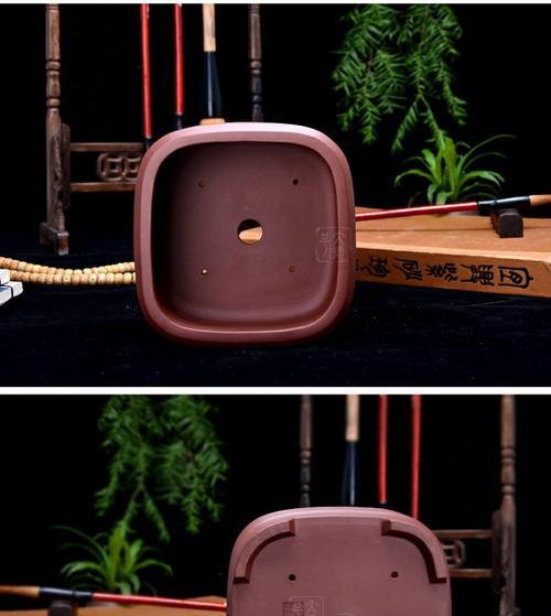 白紫砂盆景花盆养护指南？如何养好白紫砂盆景花盆？