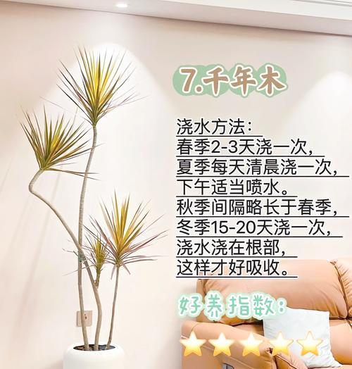 大型绿植如何正确浇水？