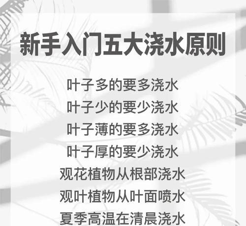 大型绿植如何正确浇水？