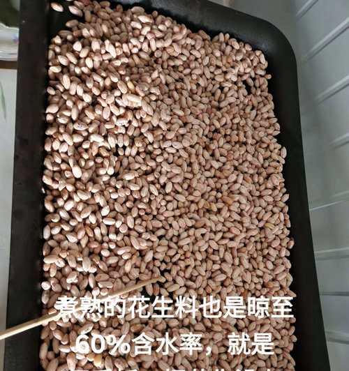 君子兰的最佳肥料是什么？