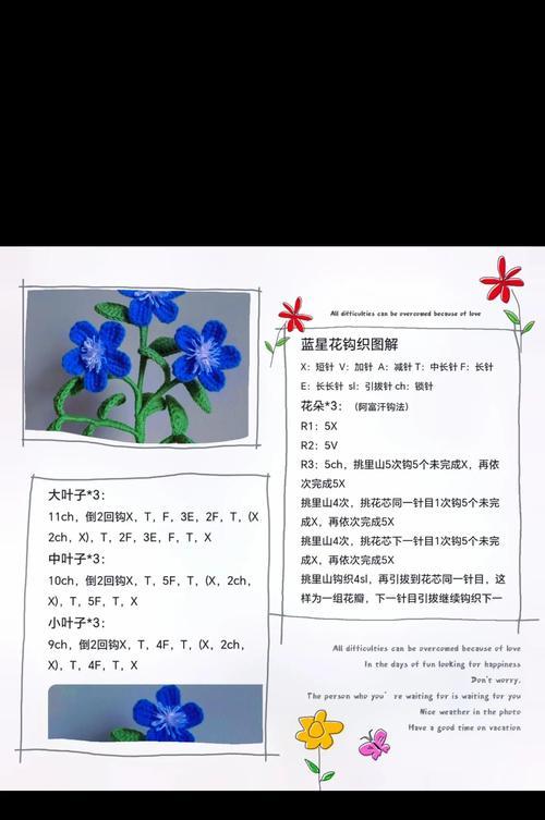 蓝星花栽培的技术要点是什么？