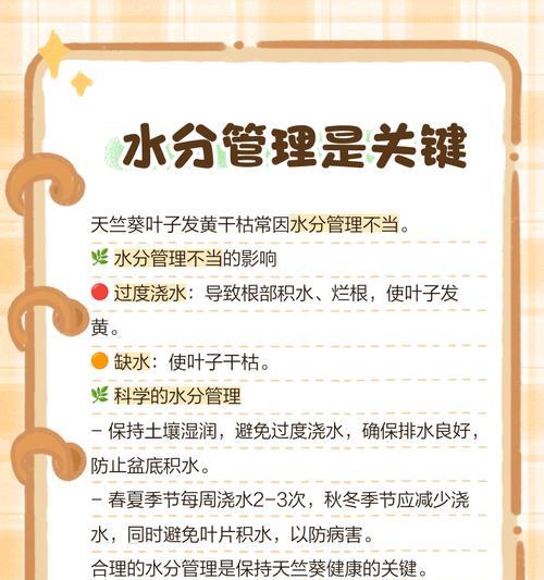 天竺葵肥料和营养液的配比方法是什么？