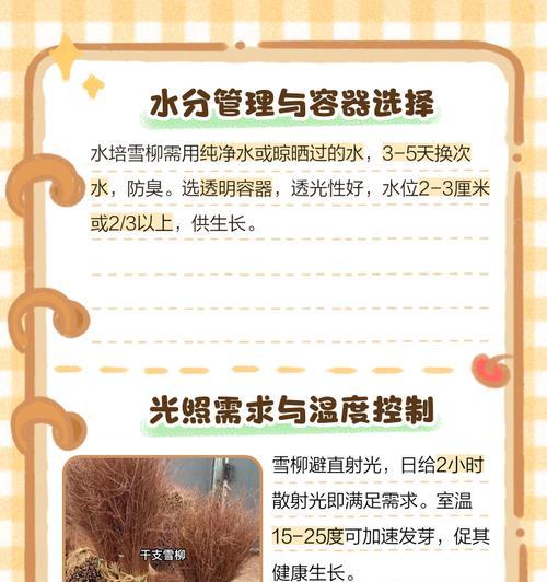 水培雪柳叶子发黄的处理方法有哪些？