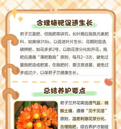 君子兰出现两盆花该如何处理？