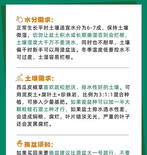 春季播种哪种草皮容易发芽？有何养护建议？