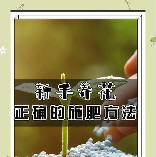 养花下肥技巧有哪些呢？施肥的正确方法是什么？
